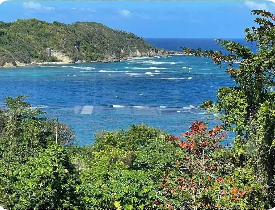The Dream St Mary Villa